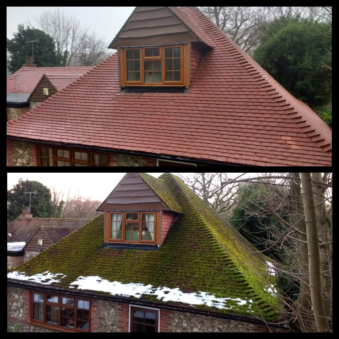 cardiff softwash roof cleaning cardiff softwash roof cleaning